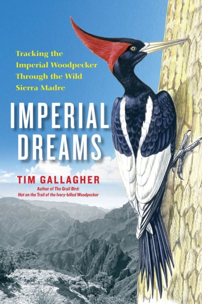 Tim Gallagher/Imperial Dreams@ Tracking the Imperial Woodpecker Through the Wild